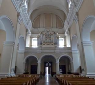 Blick nach hinten zum Eingang und zur Orgel