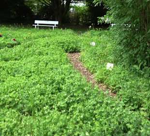 Kurpark