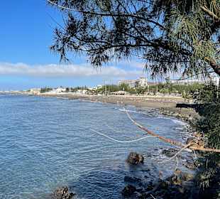 Inselrundfahrt Gran Canaria