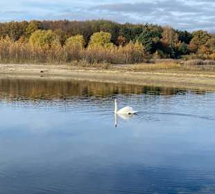 Wandern Bad Bevensen