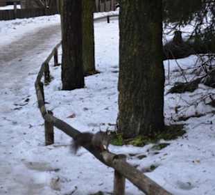 Freilichtmuseum Skansen