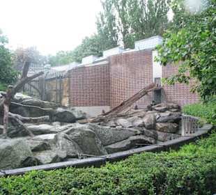 Mandrill-Außengehege