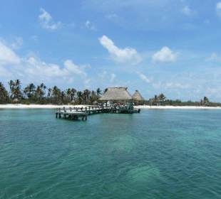 Tour Isla Contoy - Isla Mujeres