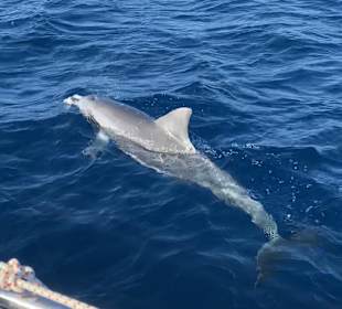 Halbinsel Le Morne Brabant