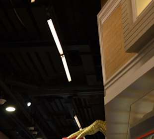 Shoppingcenter Terminal 21