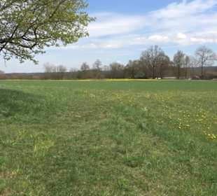 Heckenerlebnispfad Apfelstetten