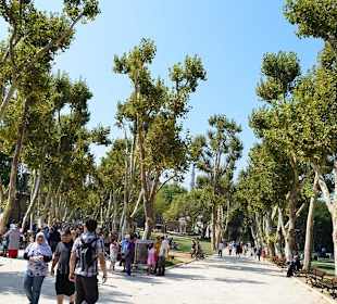 Pałac Topkapi - ogrody