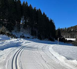 Wandern Gösing an der Mariazellerbahn