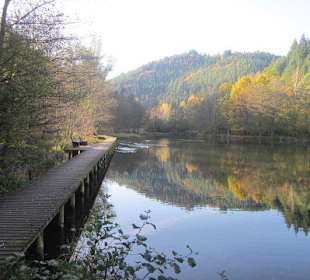 Der wunderschöne Helmbachweiher