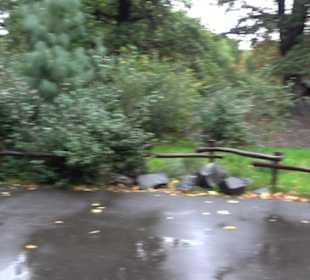 Tierpark