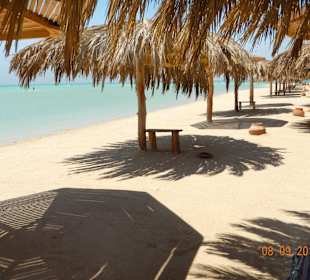 Überall schattige Plätze