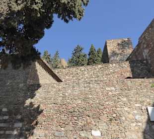 Málaga 
