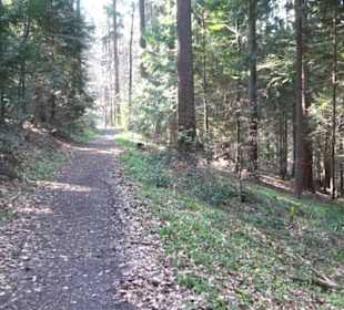 Wanderung Florianrunde