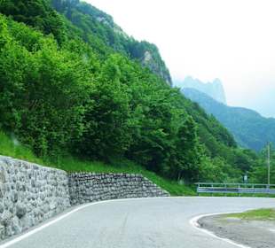 Den Plöckenpass runter