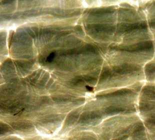 Strand Klares Wasser