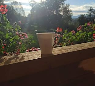 Ausblick