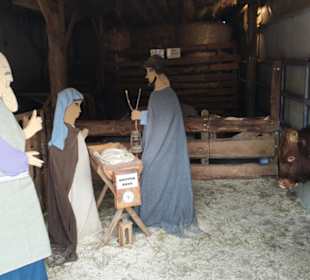 Große Krippe im Stall