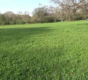 Rosensteinpark