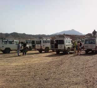 Die Gruppe der Safari