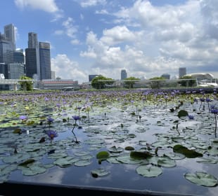 Skyline