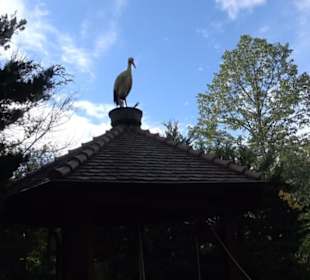 Erlebnispark Tripsdrill