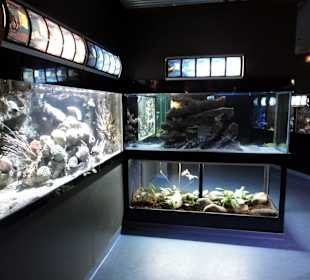 Blick in die Ausstellungsräume