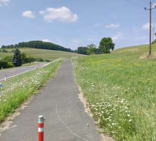Am Fußgeher und Radweg