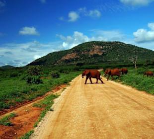 Kein Zebrasteifen in der Nähe