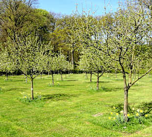 Obstwiese vor der Gloriette