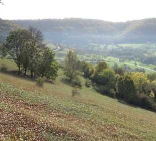 Premiumwanderweg hochgehkeltert Neuffen