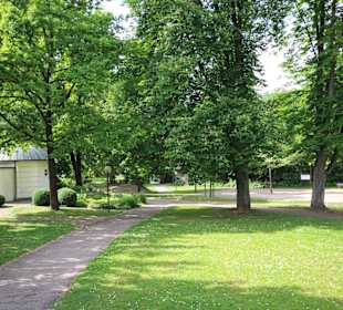 Licht und Schatten im Kurpark