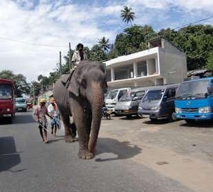 Auf dem Weg zum Höhlentempel