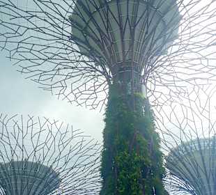 Gardens by the Bay