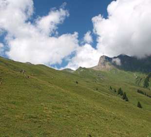 Blick zurück