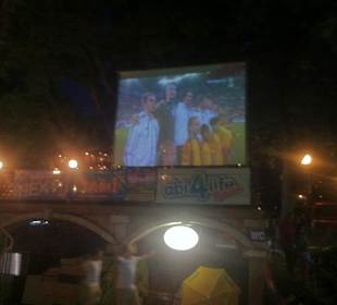 EM 2012 - Deutschland-Dänemark