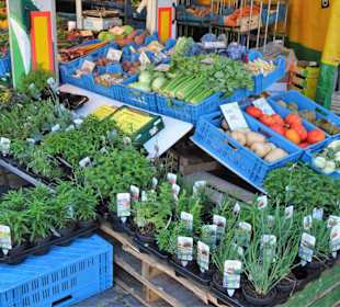 Rundgang über den Wochenmarkt in Groningen