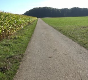 Kelten-Erlebnis-Pfad Erkenbrechtsweiler