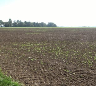 Kelten-Erlebnis-Pfad Erkenbrechtsweiler