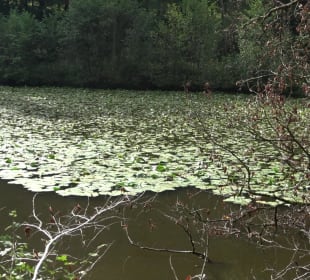 Schaichtalweg - Schlüsselsee