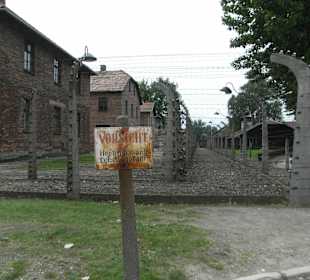 Auschwitz