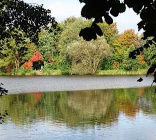 Impressionen vom Spaziergang am Drielaker See
