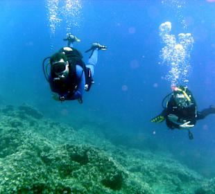 Blue Diving Center