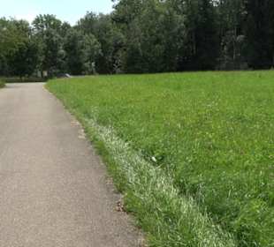 Premiumspazierweg Früchtetrauf-Leisawegle