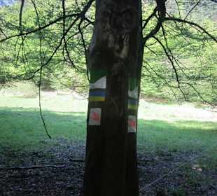 Auf dem Weg zur Queichquelle