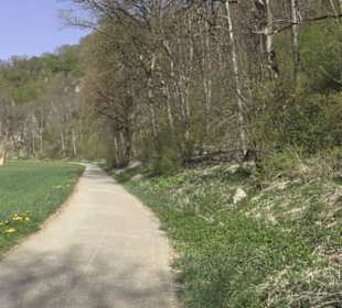 Waldlehrpfad an der Lauter