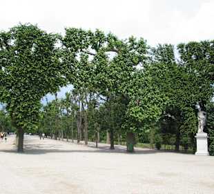 Wien Schönbrunn