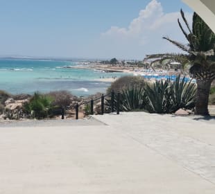 Ayia Thekla Stand