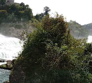 Rheinfall (SWI) 