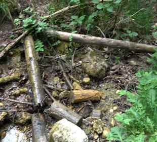 Schlichemquelle Tieringen