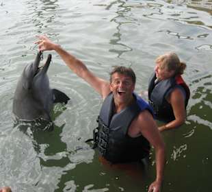 Dolphin Lodge
